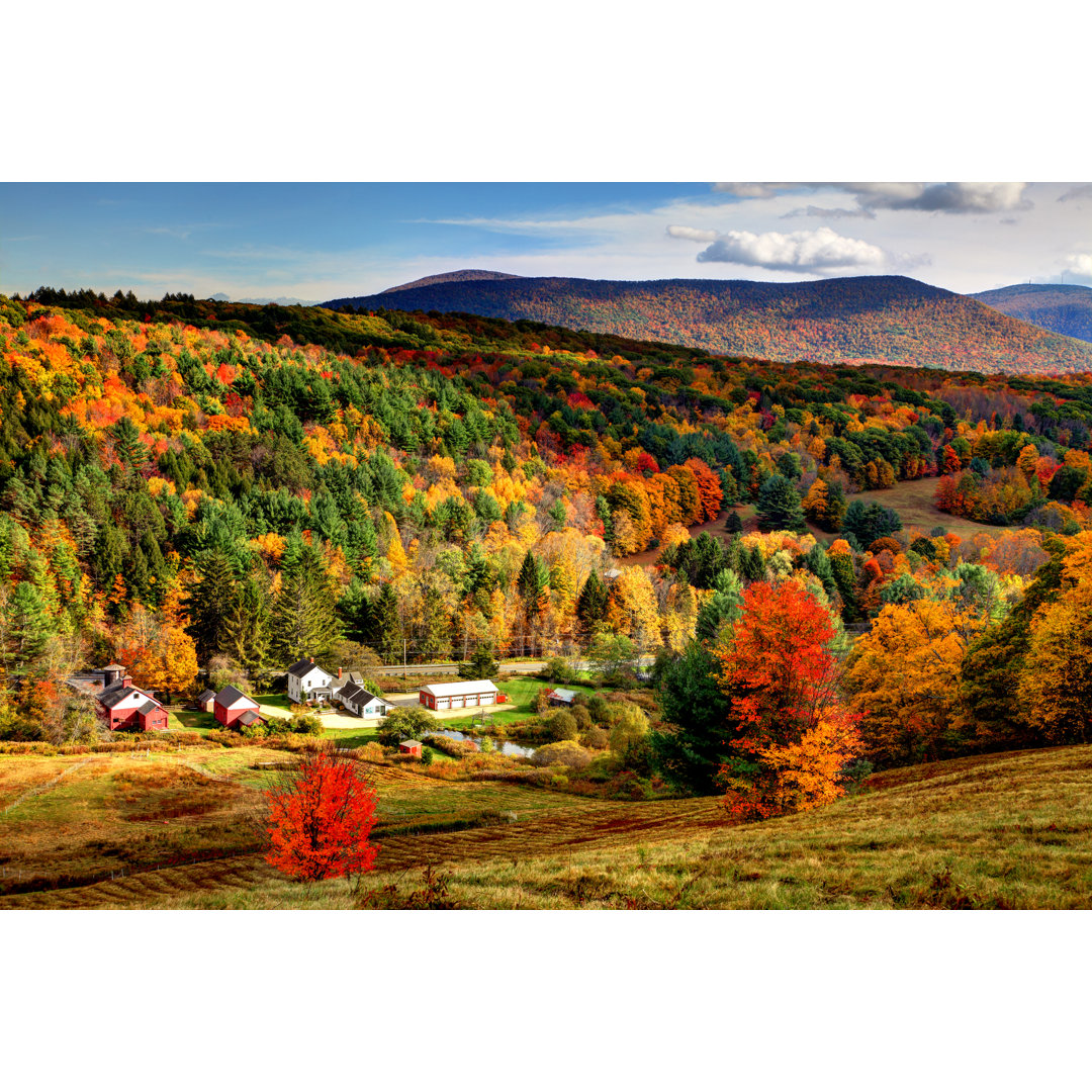 Autumn Foliage von DenisTangneyJr - Wrapped Canvas Set