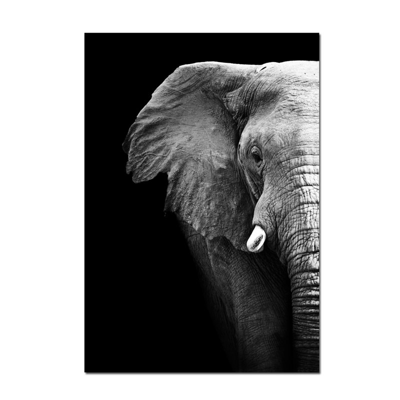 Elephant Profile Print, 20" H x 16" W x 1.5" D
