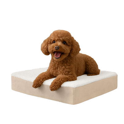 PETMAKER 2-Layer Orthopedic Foam Dog Bed - 20x15 Pet Bed for Small Dogs, Tan
