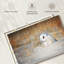 Chouette des neiges Brampt-108841293