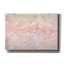 «Through Fog Blush And Gold» par Danhui Nai, art mural sur toile-231842964