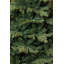5.09' H Lighted Artificial Fir Christmas Tree