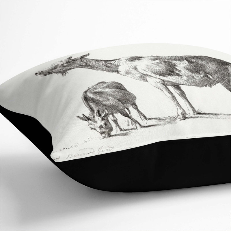 Square Throw Cushion, Black, 55cm H x 55cm W x 20cm D