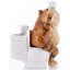 Animals Figurines & Sculptures