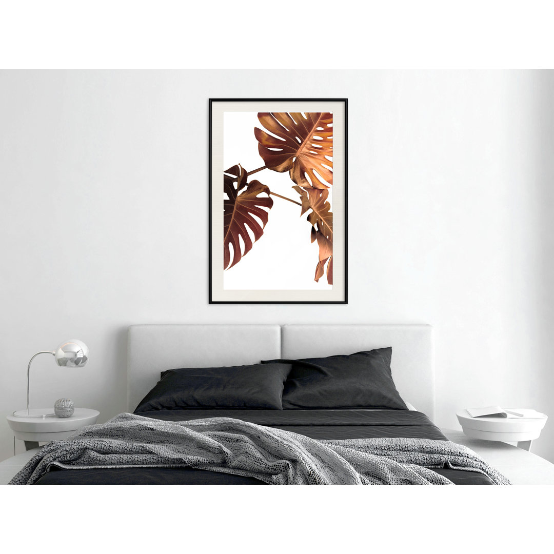 Gerahmtes Poster Copper Monstera