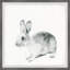 Monett Bunny Rat, reproduction encadrée-827974683