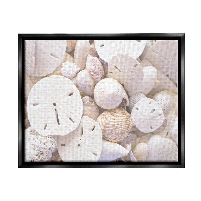 Photographie de cadre blanc flottant avec coquillages blancs, Cadre flottant noir de jais, H 25 po x l 31 po x P 1,7 po