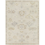 Oriental Indoor / Outdoor Rug