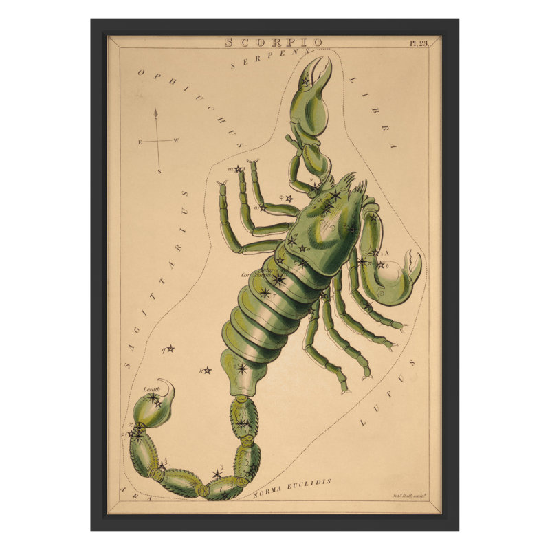 Scorpio Print by Grand Archives, Black Framed, 32" H x 23" W