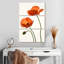 Fleurs de pavot orange-1151655138