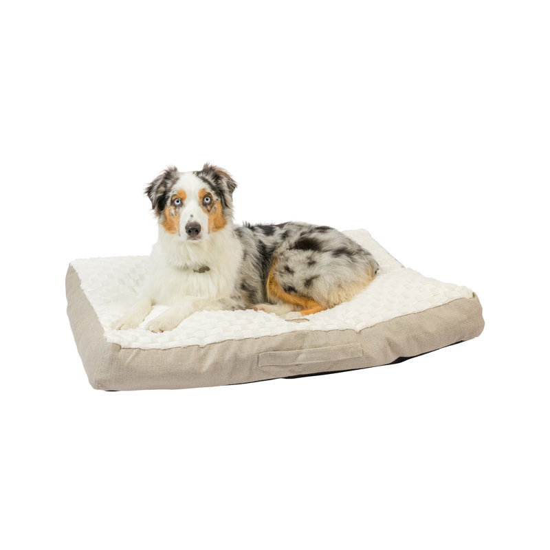 Large White and Beige Velvet Dog Bed with Poly Fill