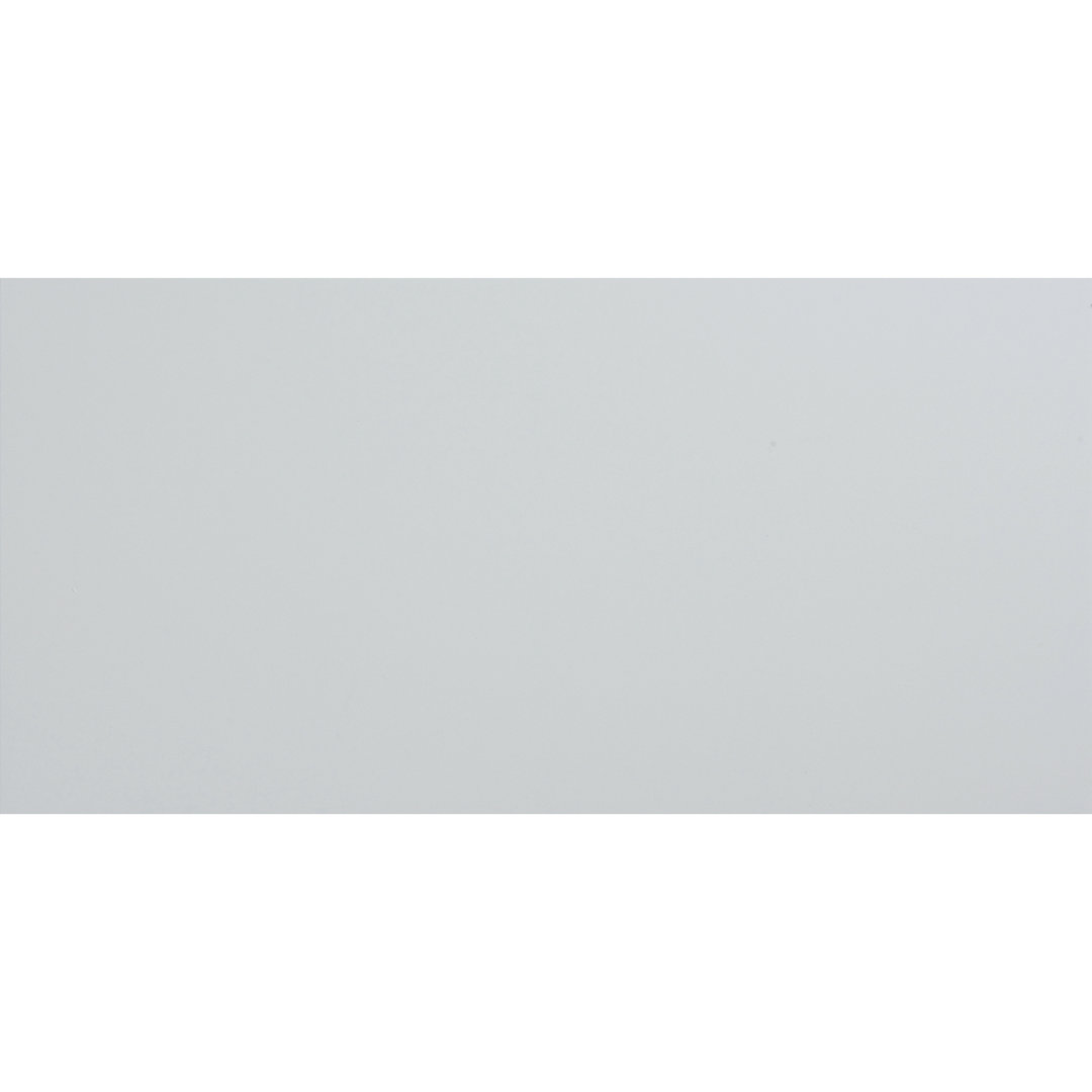 True Story Polished 12'' W x 24'' L Porcelain Throughbody Singular Tile PIXL 