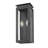 Olsen 2 Light Outdoor Wall Light