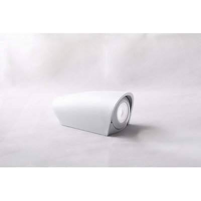 Ilasha Spotlight