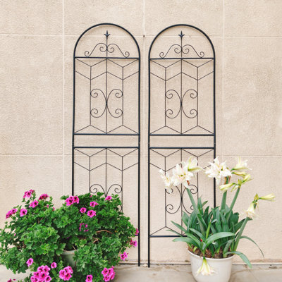 2 Pack 71" x 19.7" Metal Garden Trellis