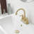Widespread Single-handle Bathroom Faucet with Drain Assembly-86864994