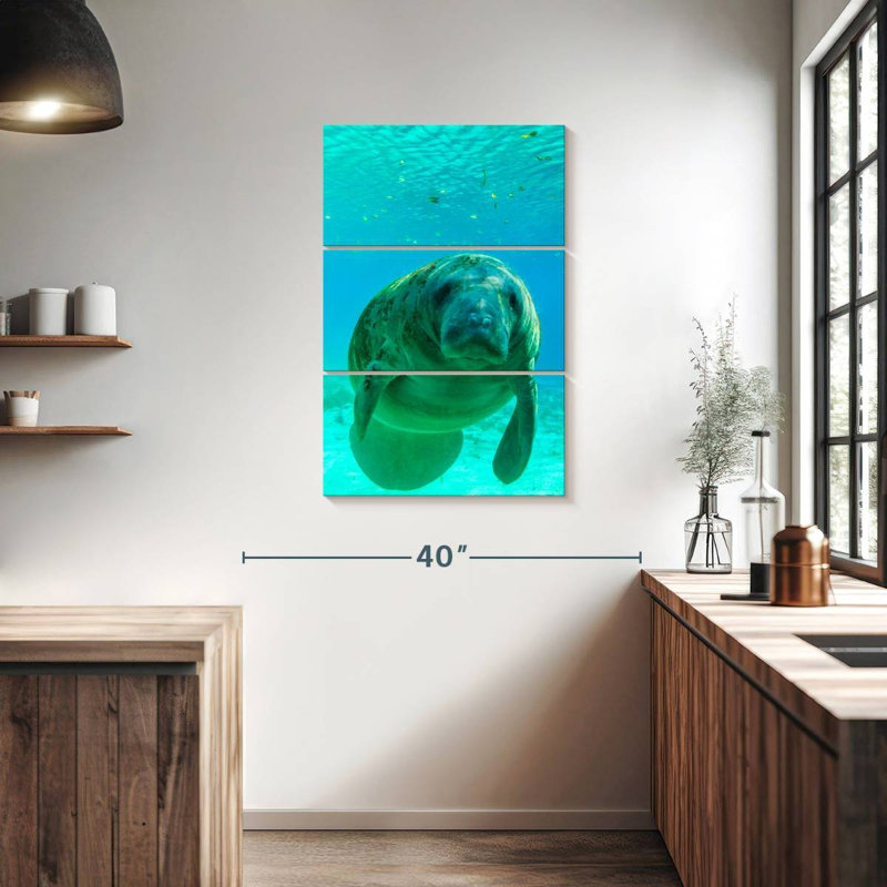 Brampt Swimming Manatee, 38" H x 24" W