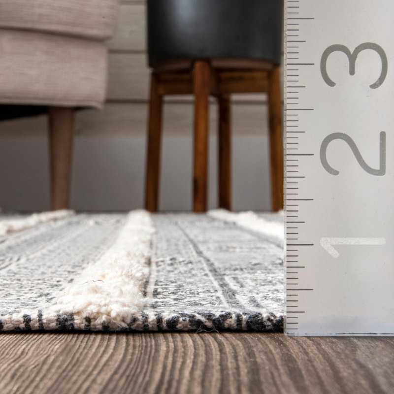 Nunez Cotton Striped Indoor Rug, Rectangle 5' x 8'