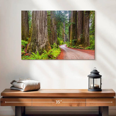 Harnek Redwood Forest Dirt Road