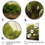 Arbre vert africain majestueux - art mural africain-790372026-790372025