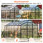 Panneaux de serre en polycarbonate à double paroi JAXILyn pour jardin, patio et abri pour plantes (ensemble de 14)-133685868