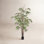 96" Bamboo Tree in Pot