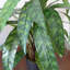 Artificial Foliage Plant in Pot Liner-124076063