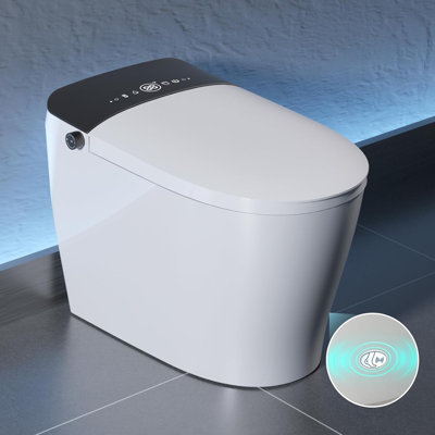 Toilette Smart Bidet avec réservoir intégré, couvercle à ouverture / fermeture automatique, hauteur ADA, chasse d'eau occultante, siège chauffant, lavage à chaud, chasse d'eau automatique 1,08GPF, filtration Tech, standard