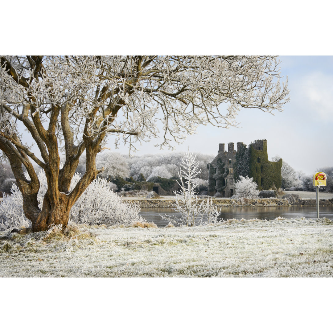 Leinwandbild Bäume und Burgruinen von Frost bedeckt