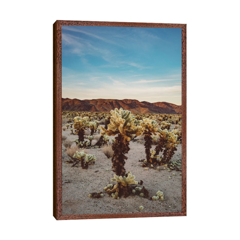 Cholla Cactus Garden II by Bethany Young - Print on Canvas, Classic Brown Wood Framed, 66.04cm H x 45.72cm W x 3.81cm D