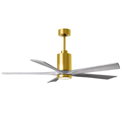 Patricia LED Downrod Ceiling Fan