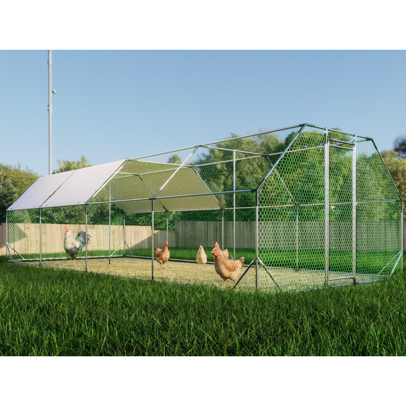 Cage à poulailler galvanisée