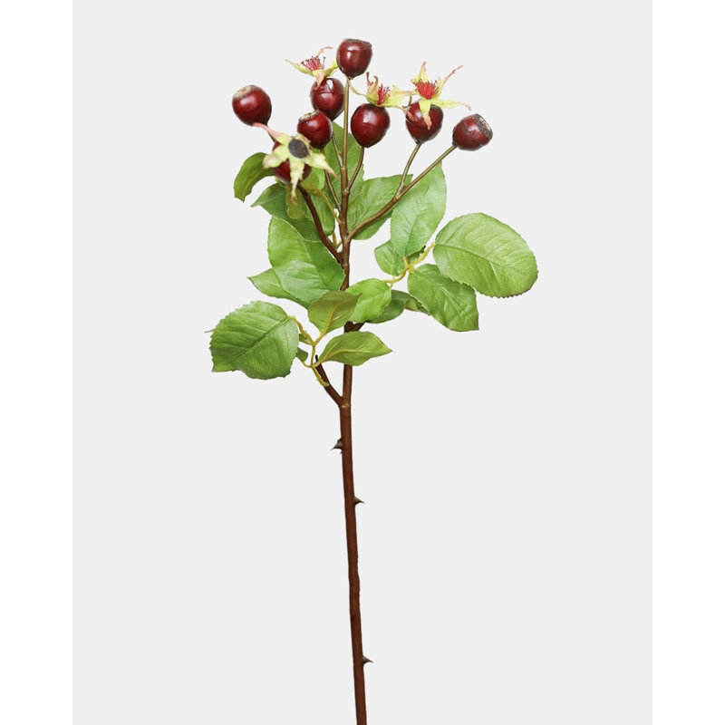 Artificial Montana Rose Hip 23.5", Red, 18" H x 6" W