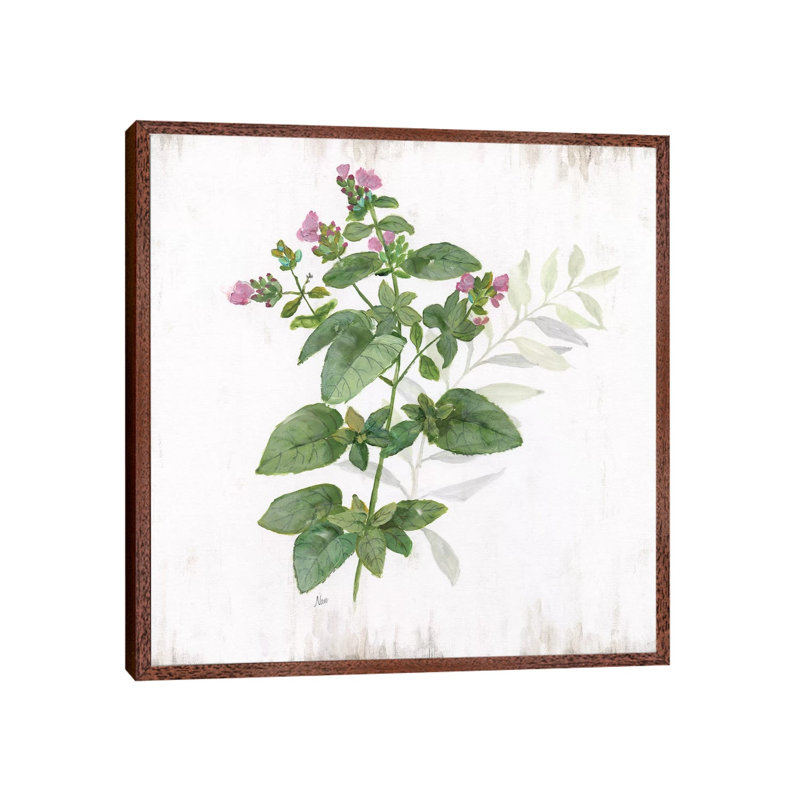 Kitchen Garden I by Nan - Print on Canvas, 45.72 cm H x 45.72 cm W, Classic Brown Wood Framed