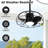 20.9" W Plug-in Caged Ceiling Fan with LED Light and Remote
