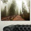 Foggy Sequoya National Park - reproduction de photo sur toile tendue-19408229