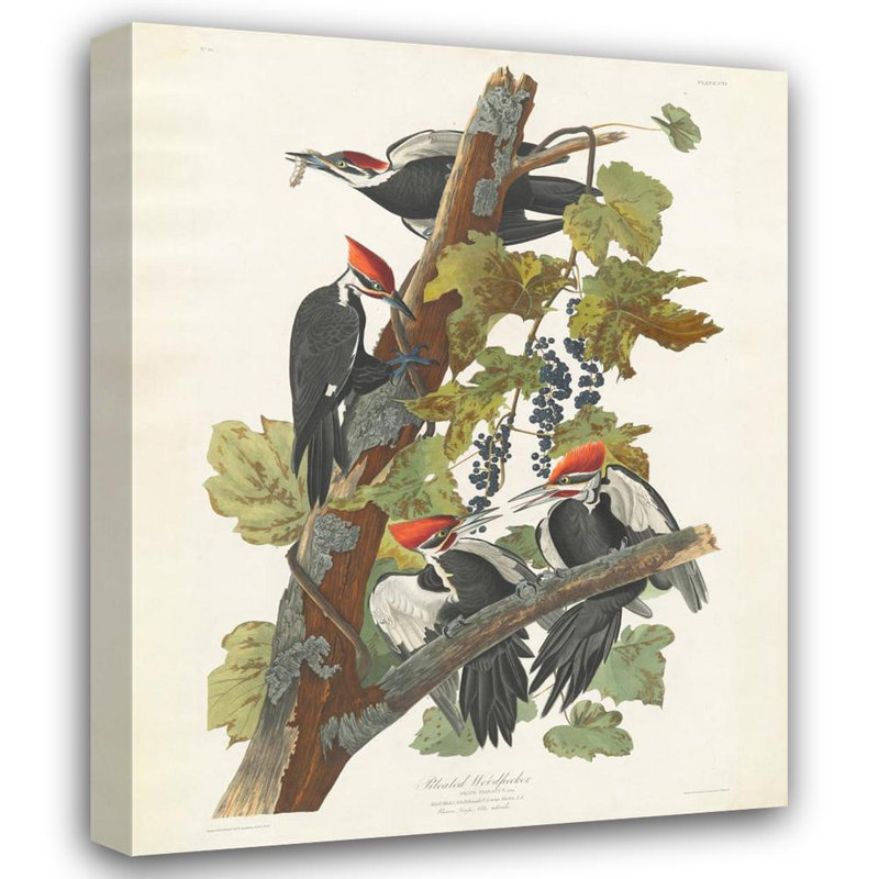 Pic pilonné (bordure décorative), H 24 po x l 19 po