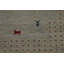 Tapis tribal Gabbeh indien 4 x 6