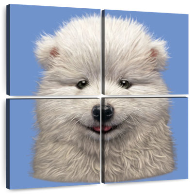 Brampt Samoyed Puppy