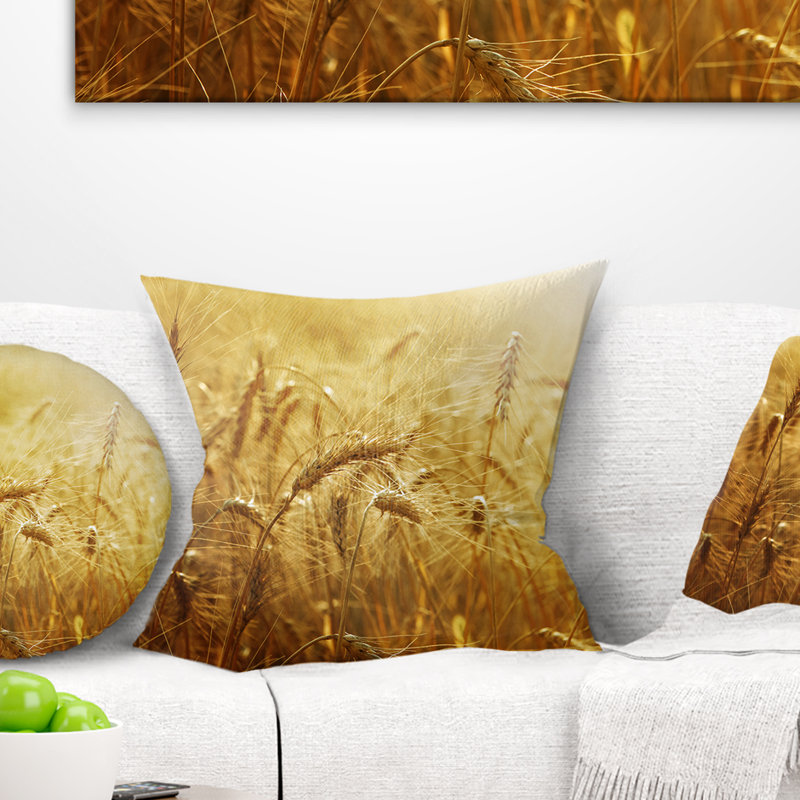 Coussin Schafer, 16 po x 16 po, Coussin décoratif