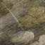 Tapis taupe Cerrito lavable à la machine de qualité supérieure-105698163