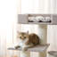 Arbre à chat 48,4 po H pour grands chats et MaineCoon-1811539048
