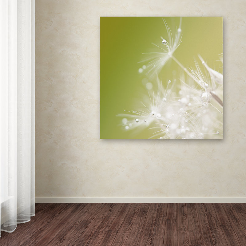 « green », impression sur toile tendue, H 18 po x l 18 po