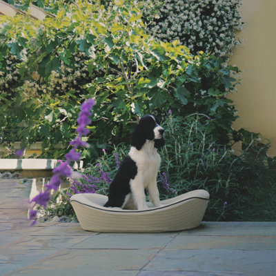  Lit orthopédique pour chien - mousse mémoire, pinson et silex