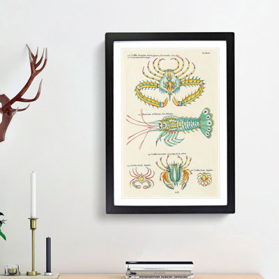 East Indies Lobster & Crab Illustrations LI by Louis Renard - Picture Frame Graphic Art Print