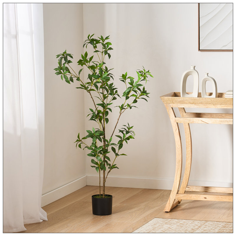 ARBRE À PIERIS 120CMTIFTIFS