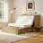 Muuegm Queen Murphy Bed Cabinet, Mid-Century Modern Foldable Wall Bed with Charging Station-503090587