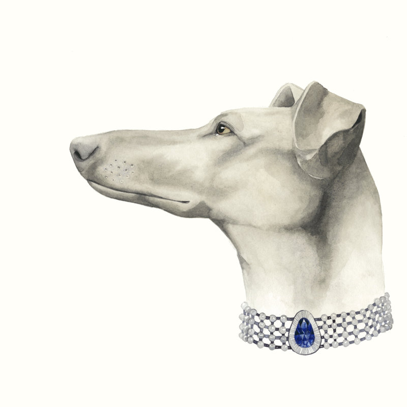 Haute Hounds III by Grace Popp - Wrapped Canvas Print, 91cm H x 91cm W