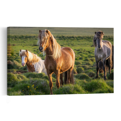 «Wild Horses Golden Field Abstract Contemporary Horse Nature Landscape», reproduction d'art mural