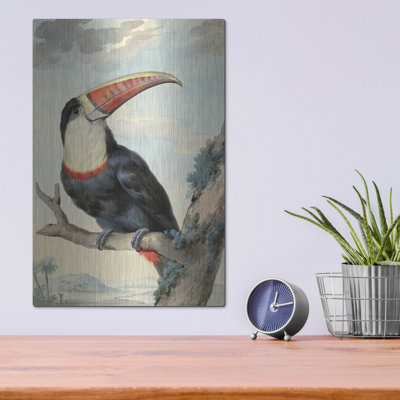 Toucan à bec rouge, v. «1748» par Aert Schouman, art mural en métal